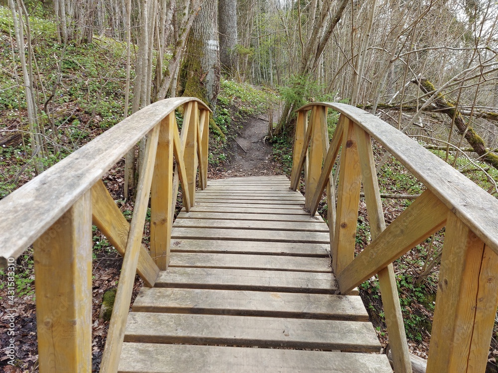 Obraz premium wooden bridge in the forest