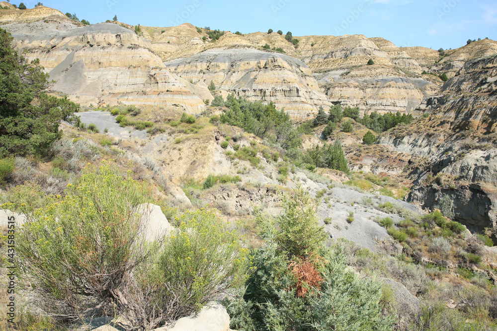 Theodore Roosevelt National Park in North Dakota, USA, north unit Theodore Roosevelt National Park in North Dakota, USA, north unit