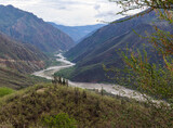 cañón del chicamocha, paisaje donde se aprecia un rio largo rodeado de montañas y un arbol de primer plano. 