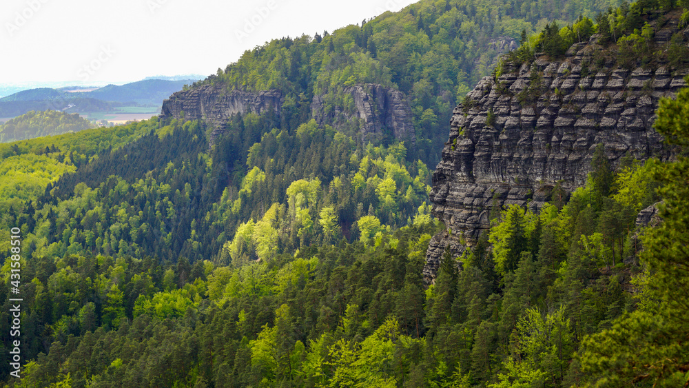 Czeska Szwajcaria park narodowy formy skalne panorama - obrazy, fototapety, plakaty 