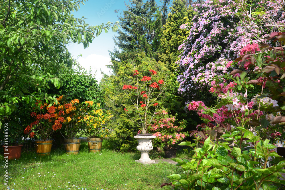 Obraz premium Garten 1160