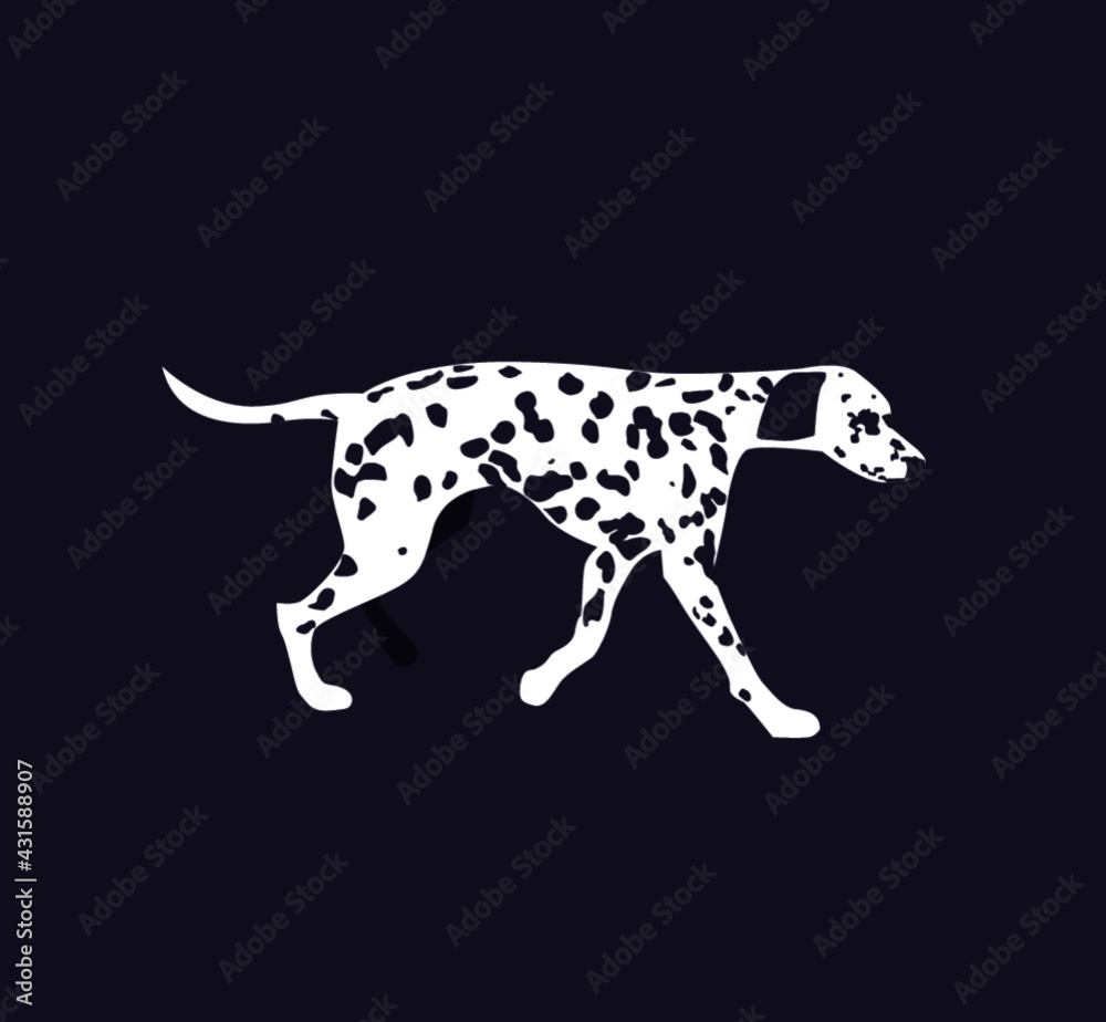 Dalmatian flat illustration