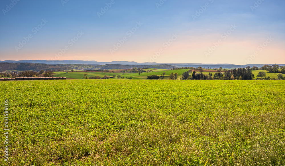 Panoramablick von Königsbach-
Stein zum Schwarzwald Panoramablick von Königsbach-
Stein zum Schwarzwald
