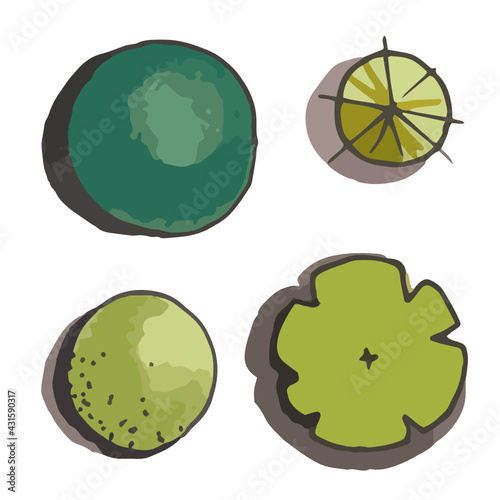 outline, stroke, silhouette, front, side, architectural, background, backyard, bush, collection, decoration, design, drawn, element, exterior, flora, foliage, forest, garden, graphic, green, greening,