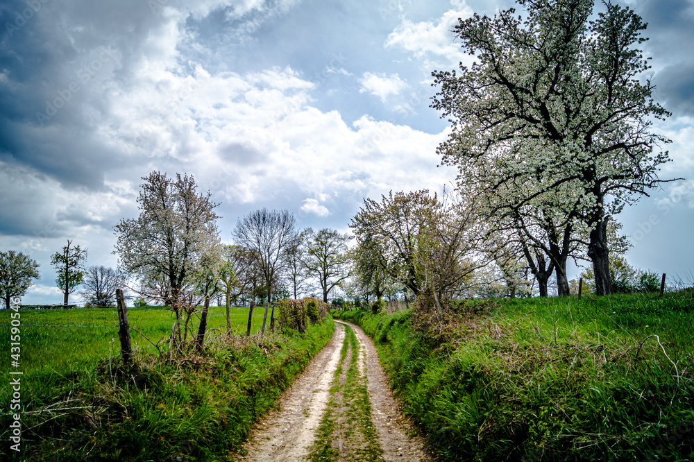 Fototapeta premium Fourons le comte