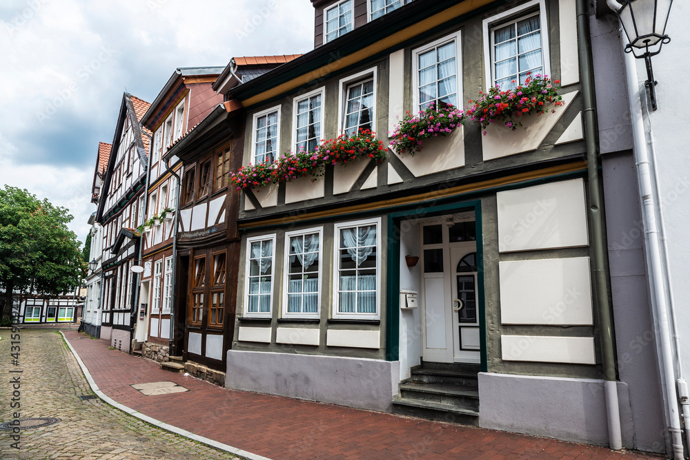 Street with medieval houses in Hamelin, Germany