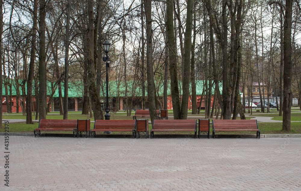 wooden benches in the park in spring