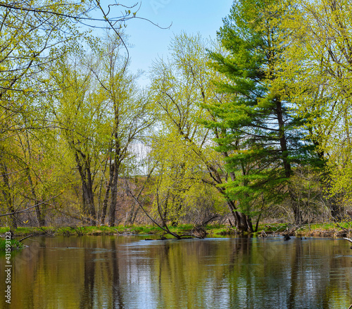 spring day by the nashua river