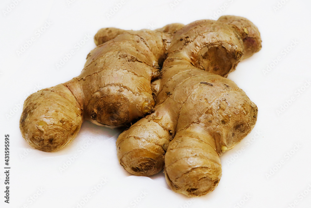 fresh ginger root isolated on a white background in close up fresh ginger root isolated on a white background in close up