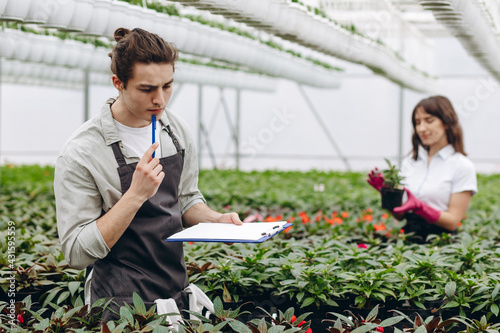 Attractive male florist holding clipboard and thinking, female florist arranging flowerpots on background in greenhouse.