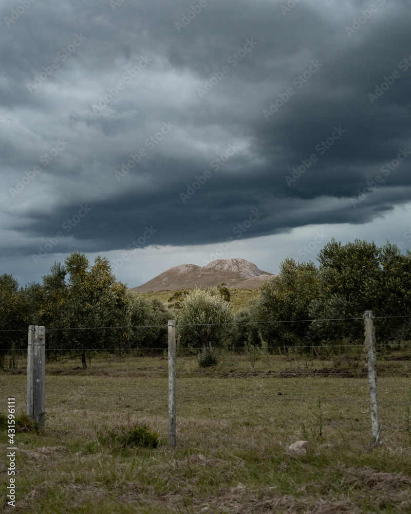 Fototapeta premium fence