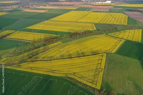 Aerial view of rapeseed fields