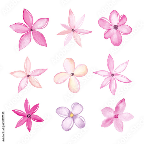 Watercolor flowers collection isolated on white background