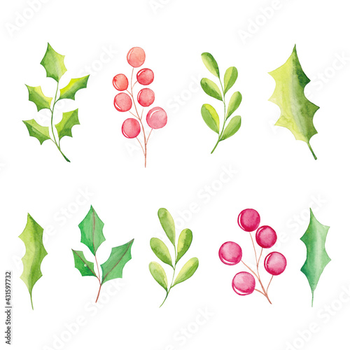 Wallpaper Mural Watercolor Christmas floral elements, poinsettia flowers, berries, leaves, fir tree branches Torontodigital.ca