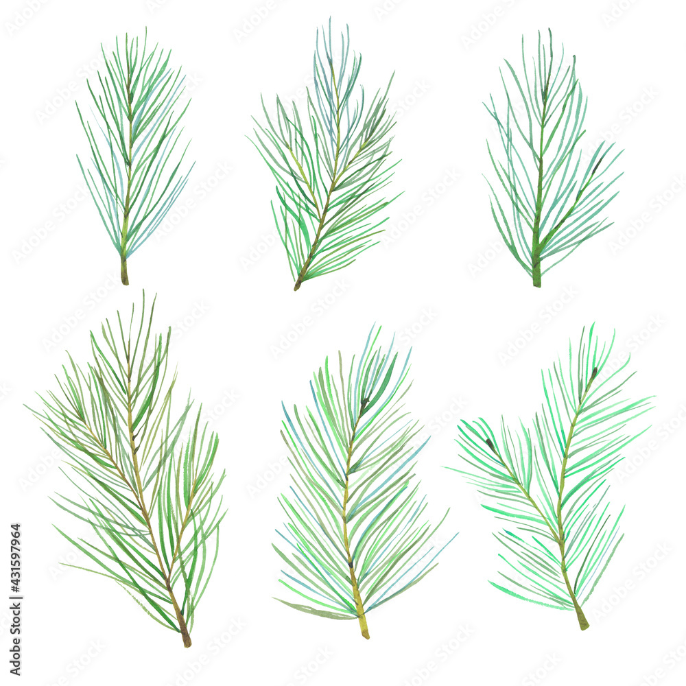 Watercolor pine tree branches set. Forest pine Christmas tree needles branches