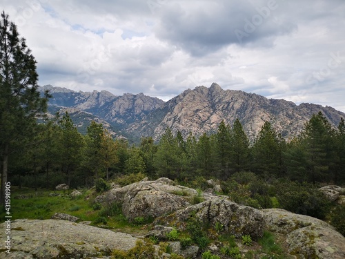 Madrid mountains and woods landscape