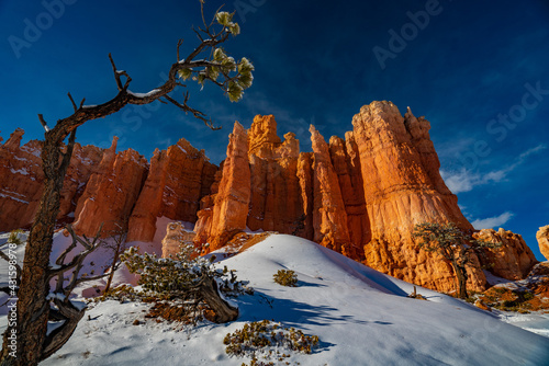 Winter in Bryce Canyon National Park