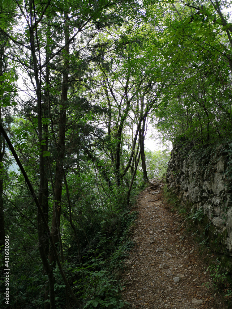 Obraz premium Wandern