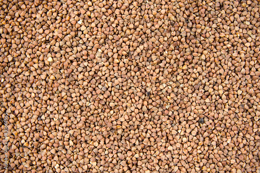 buckwheat groats sprinkled close up food background buckwheat groats sprinkled close up food background