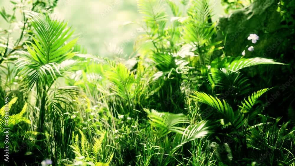close up jungle grass and plants close up jungle grass and plants