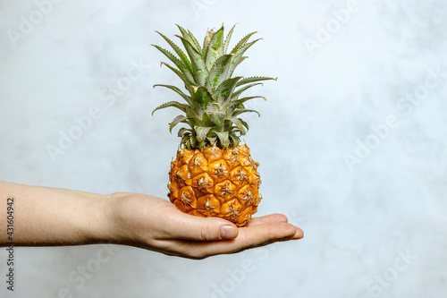 A small pineapple in the hand of a white woman. Juicy  fresh pineapple. Healthy lifestyle.
