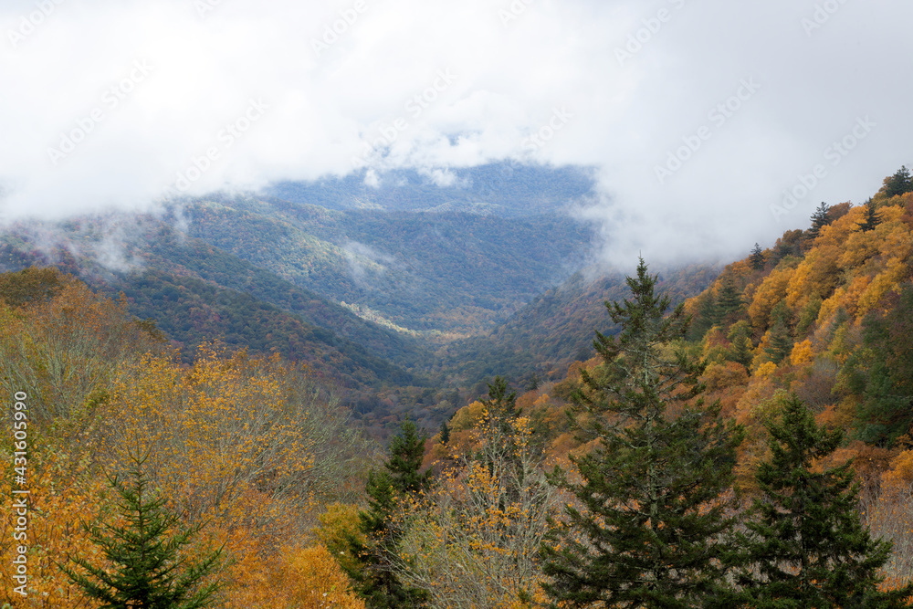 Mountain with fall leaves and clouds