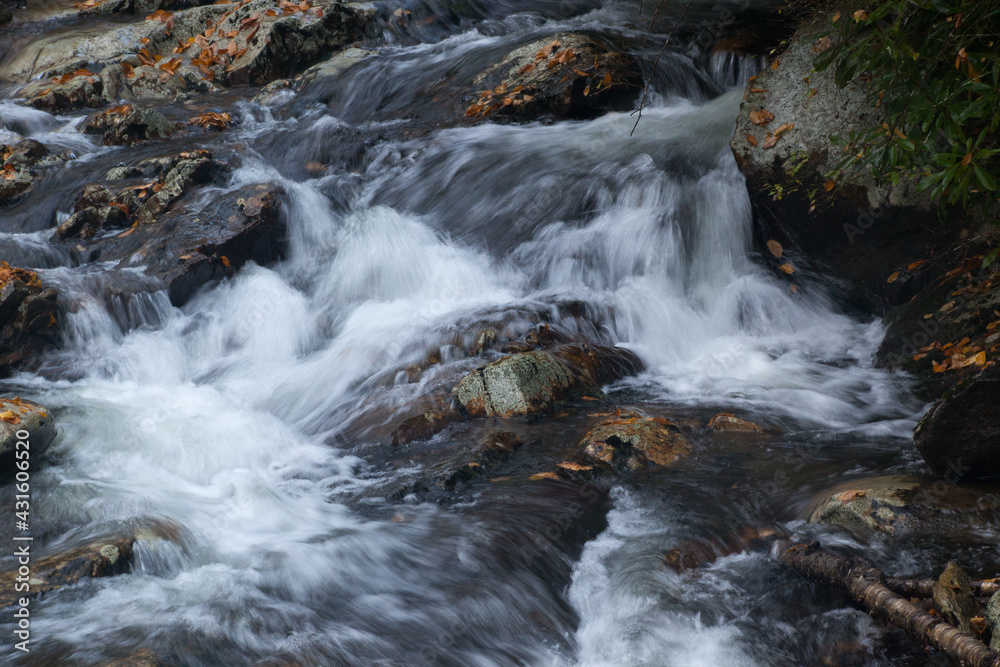 Cascading stream with fall fallen leaves
Cascading stream with fall fallen leaves