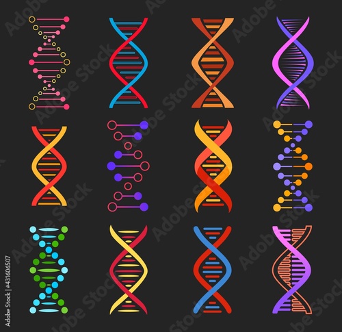 DNA helix vector icons of genetics medicine and biotechnology. Isolated molecules of DNA double strand, colorful chains of human chromosome, gene legacy and genome evolution design