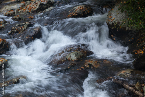 Cascading stream with fall fallen leaves 