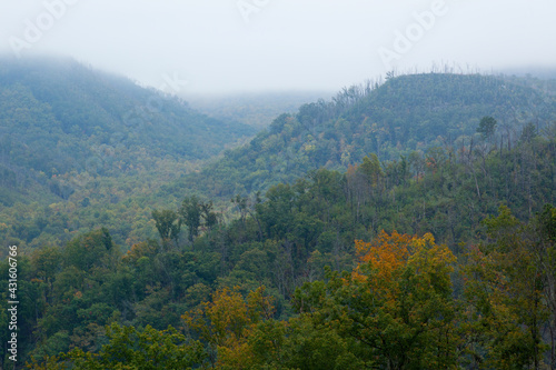 Mountain Landscape in the Fall