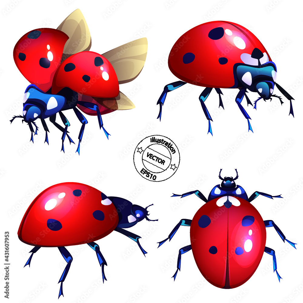 Obraz premium ladybugs