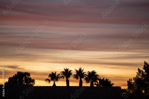 Canvas Print sunset in the desert with silhouettes of palm trees