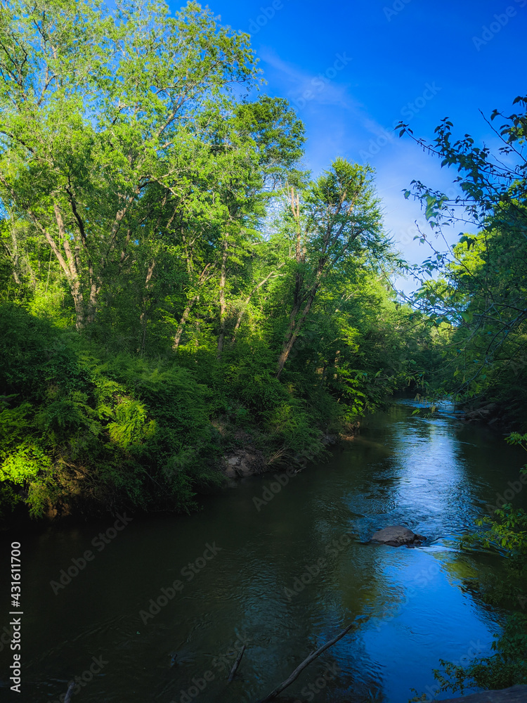 river in the forest river in the forest