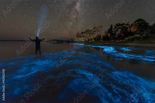 Bioluminescence Selfie under the Milky Way photo