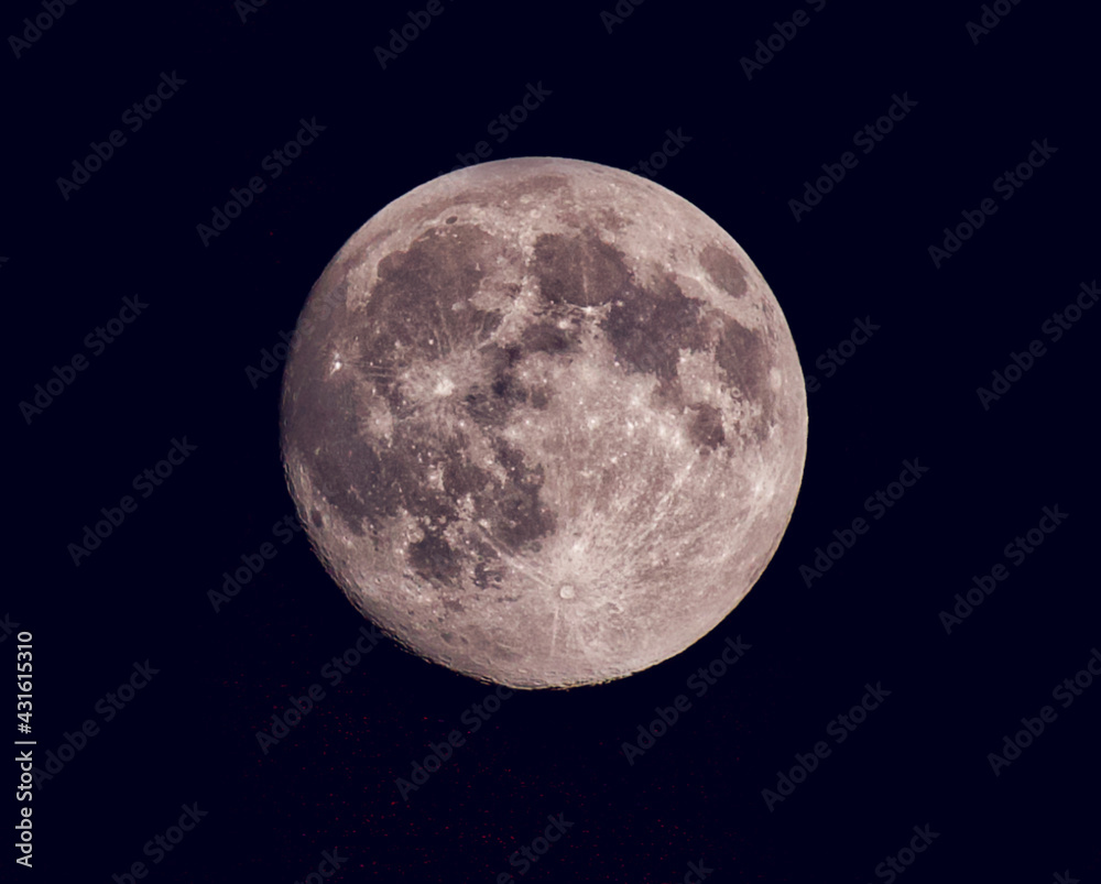 Naklejka premium The full pink moon