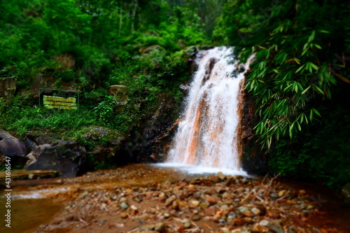 waterfall in the forest