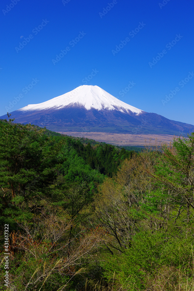 Mt. Fuji in the clear blue sky from Nijyuumagari Pass in Oshino Village Yamanashi Japan 05/03/2021