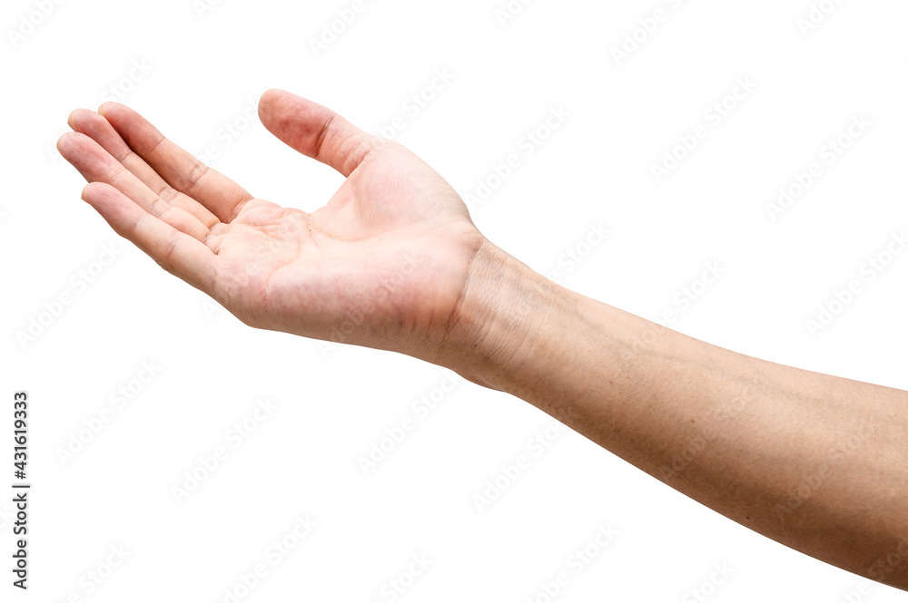 Male caucasian hand reach and ready to help or receive. Gesture isolated on white background. Male caucasian hand reach and ready to help or receive. Gesture isolated on white background.