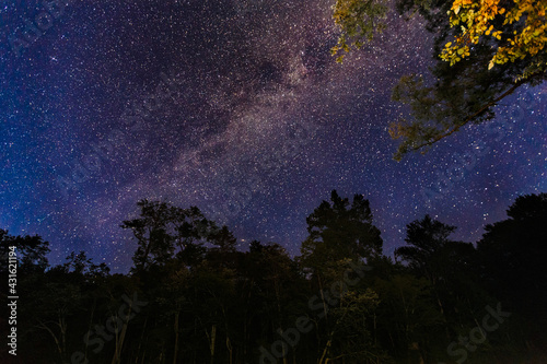 Far Eastern nature. Beautiful starry sky above the taiga night staircase.