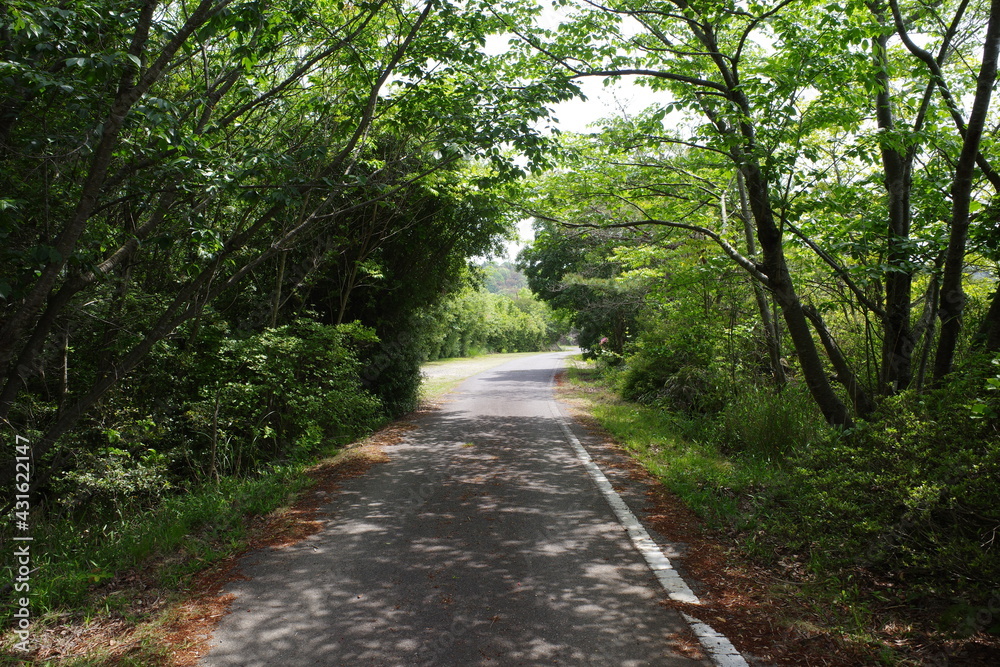 日本の岡山県瀬戸内巣の山の風景