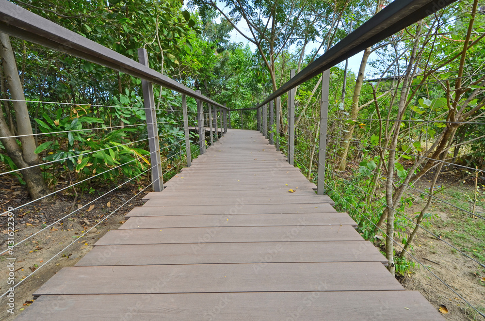 Fototapeta premium High long stairs with fences in the forest
