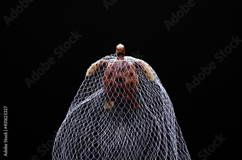 A turtle toy model trapped in white net on black background. Minimal world ocean day concept.
