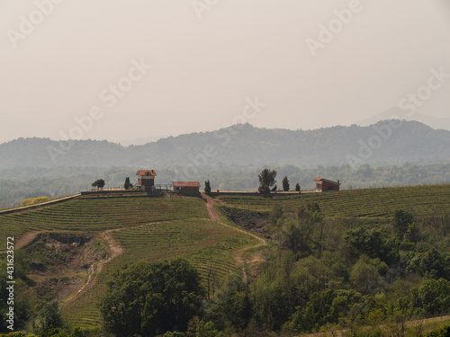Tableau sur toile Mesmerizing view of beautiful Gattinara vineyards in Italy