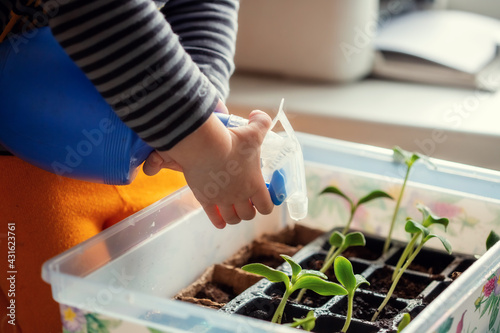 Hands of Little Caucasian boy 2 years old watering seedlings