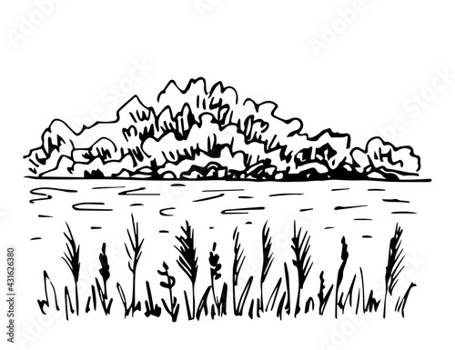 Simple hand-drawn vector drawing in engraving style. Forest lake, wild landscape. River banks, trees, bushes on the horizon, reeds in the foreground. Waterfowl hunting, fishing. Nature.