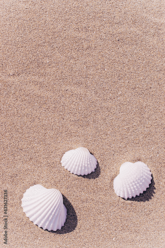 Shells isolated with seashells, starfishes on sand ocean beach background. Vacation backdrop with space for the text. Shells isolated with seashells, starfishes on sand ocean beach background. Vacation backdrop with space for the text.
