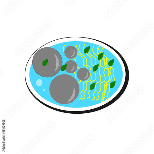 
illustration of a plate of noodles and meatballs