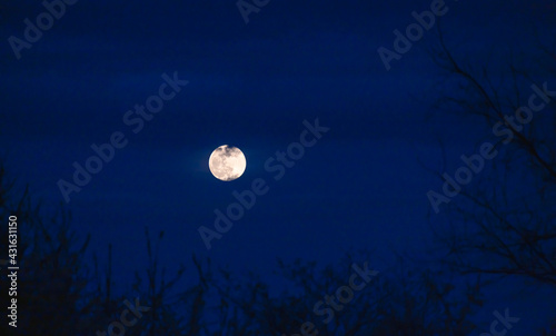 Scenery of beautiful bright moon glow in dark blue sky surrounded by silhouette trees, depth of field. Dramatic scene of darkness clouds over moonlight. Mysterious nature, outdoor twilight background.