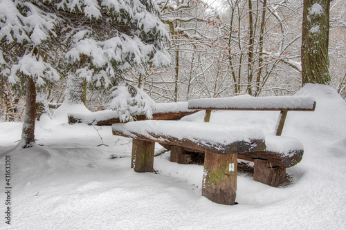 Winterlandschaft Harz Selketal Selke im Winter