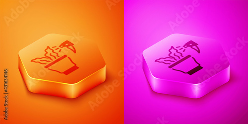 Isometric Spraying a house plant with a spray gun icon isolated on orange and pink background. Moistening of foliage. Care for home flowers. Hexagon button. Vector